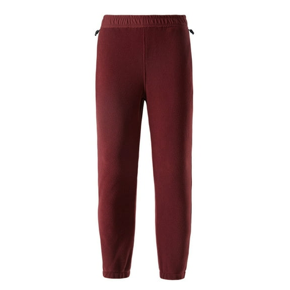 HAPIMO Women's Winter Fleece Pants Thickened Warm Jogger Pants Elastic Waist Straight Trousers Daily Casual Pants Wine XS