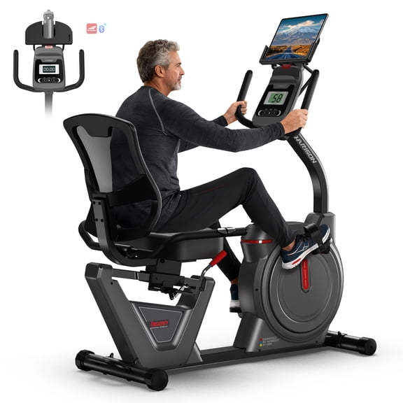 HARISON Semi-Commercial Recumbent Exercise Bike for Home, Heavy Duty 450LBS Capacity Stationary Bike for Seniors with 16-Level Magnetic Resistance & Bluetooth