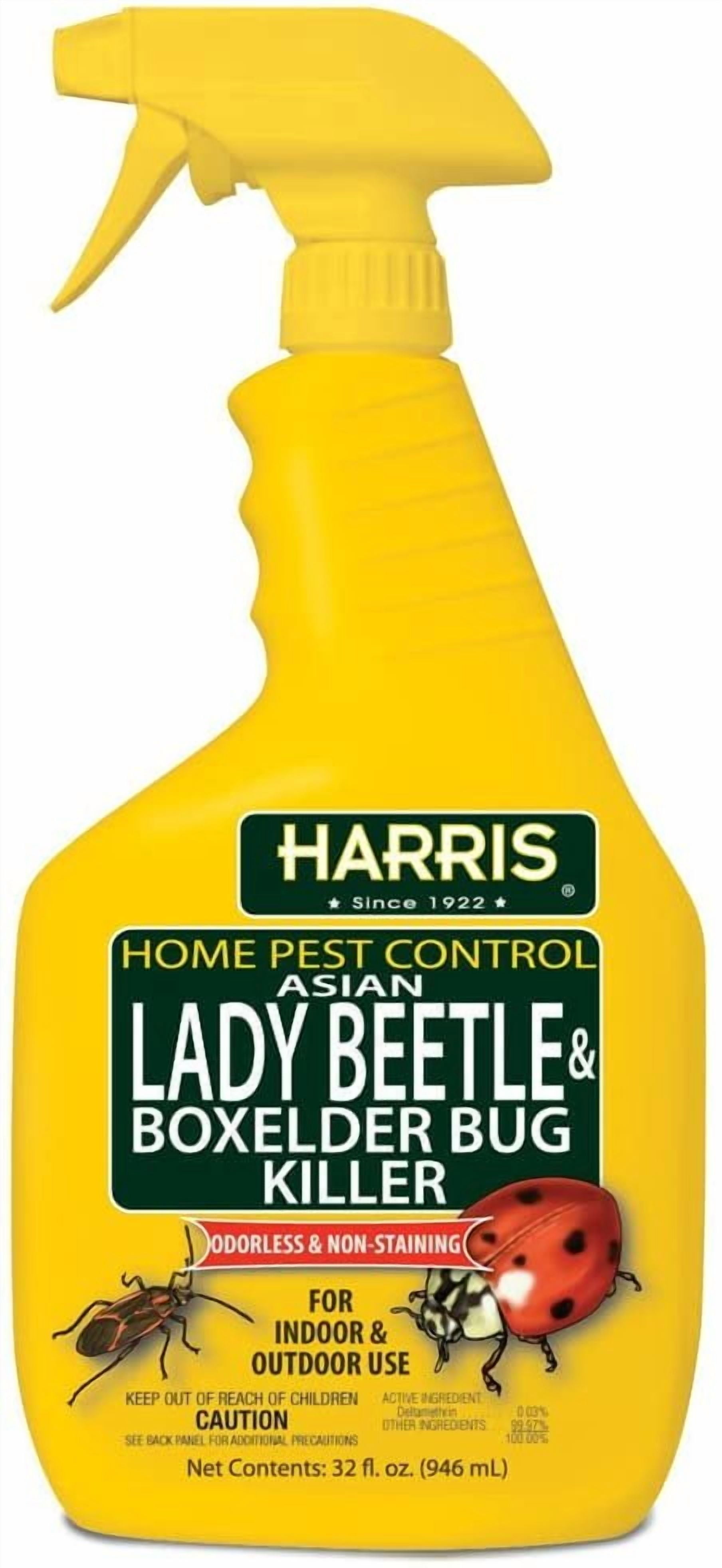 HARRIS Asian Lady Beetle and Box Elder Killer, Liquid Spray with Odorless and Non-Staining Extended Residual Kill Formula 32oz