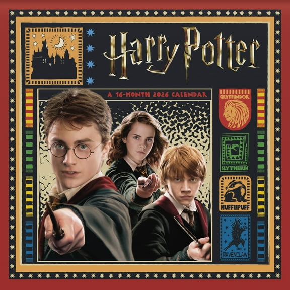 Harry Potter, 16 Months, by Trends International