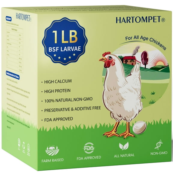 HARTOMPET 1LB Dried Black Soldier Fly Larvae – Natural Calcium-Rich Treat for Adult Chickens and Poultry, Resealable Bag in Box