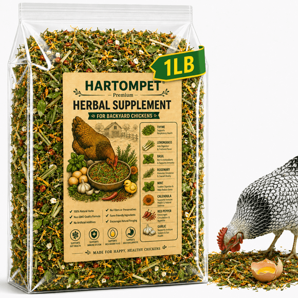 HARTOMPET Chili Herb Mix for Chickens, Egg-Safe Herbal Supplement with Garlic, Thyme & Rosemary, Natural Feed Topper for Digestive, Gut Health & Daily Wellness, Golden Yolk Support for Poultry, 1 LB