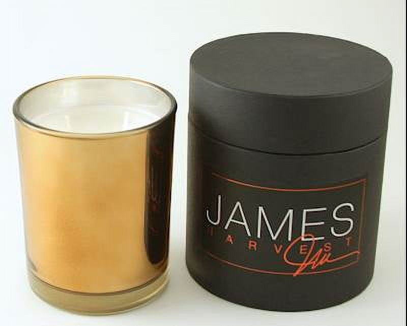HARVEST James by Jimmy Delaurentis Luxury 18 oz Scented Jar Candle