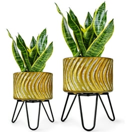 Lonnie Mid Century Ceramic Planter - Gold 13 Lonnie Mid Century Ceramic Planter - Gold 13