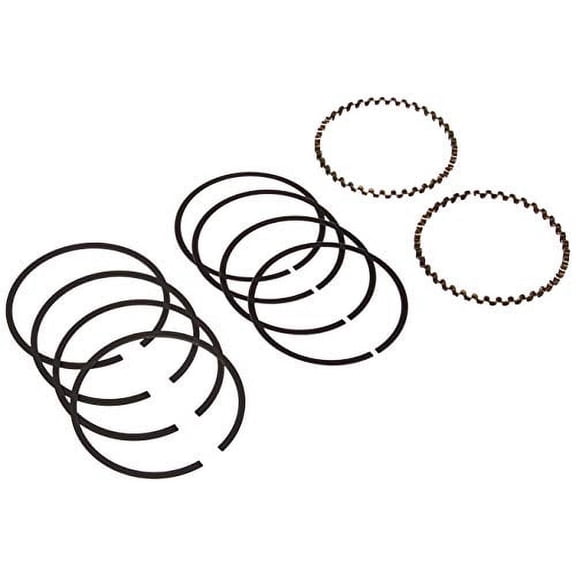 HASTINGS - 6482050 - RINGS 48-80 SHV +050