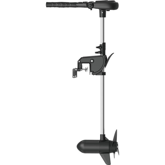 HASWING Protruar Electric Trolling Motor 12V Brushless 2 HP Power 35.4 Inch Shaft Stepless Speed Control - Low Voltage & High Thrust - Suitable for Saltwater & Freshwater Boat Fishing