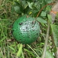 thumbnail image 1 of HATISS Hanging Fly Trap Ball Fruit Fly Catcher Sticky Trap Outdoor Flying Insect Trap, 1 of 8