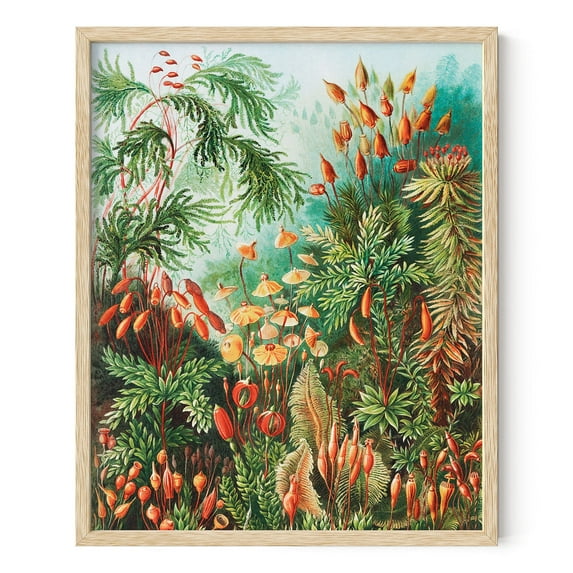 HAUS AND HUES Ernst Haeckel Poster & Vintage Botanical Prints - Vintage Flower Poster & Plant Poster, Vintage Wall Art Cottagecore Poster Ernst Haeckel Art Print Bush (Framed Beige, 16x20)