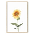 thumbnail image 1 of HAUS AND HUES Sunflower Wall Art and Sunflower Picture Wall Decor - Modern Rustic Sunflower Kitchen Decor and Sunflower Wall Decor Sunflower Bathroom Sunflower Individual Print (Framed Beige 24x36), 1 of 6