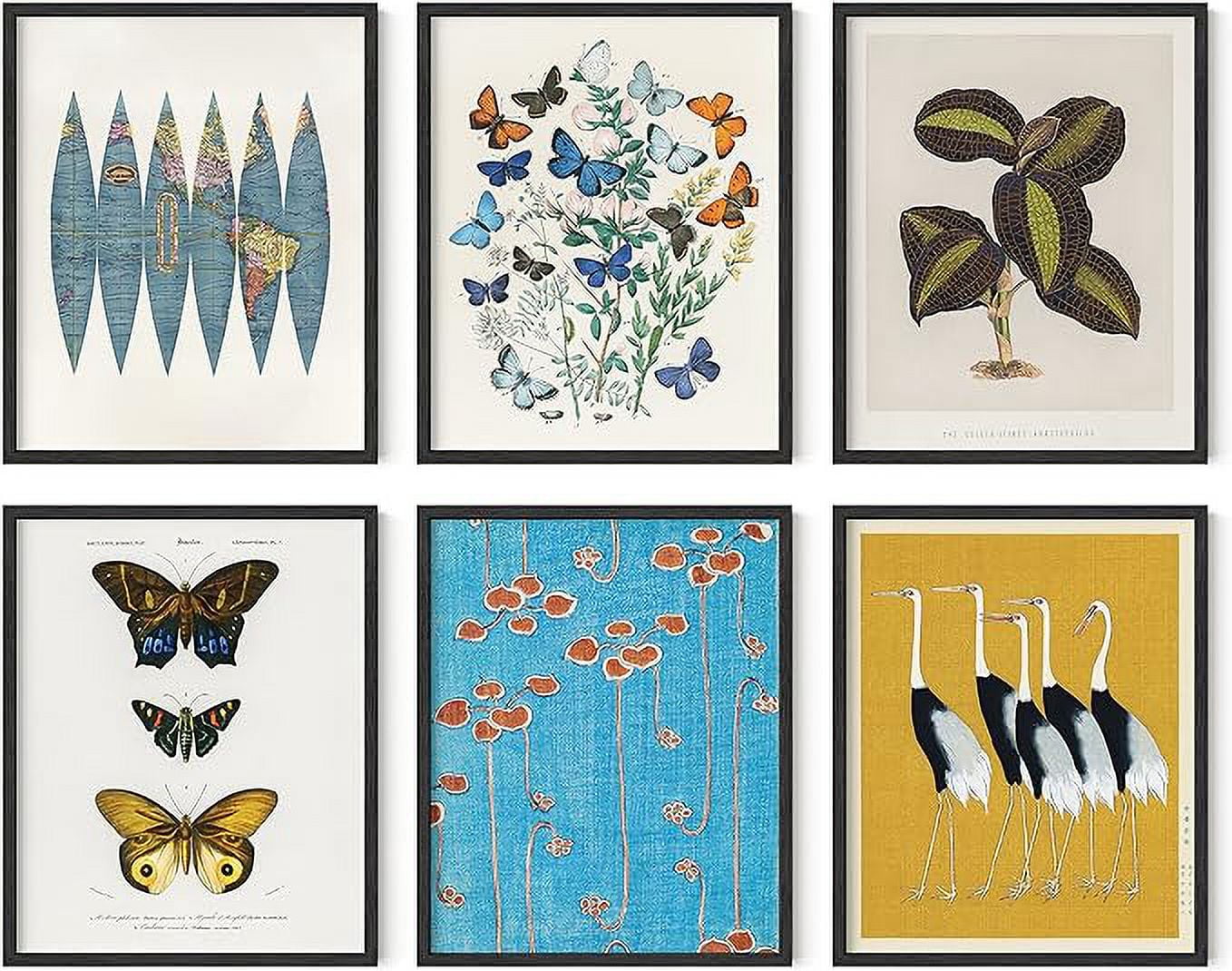 Eclectic Nature and Animal 8x10 Vintage Poster Set