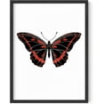 thumbnail image 1 of HAUS AND HUES Butterfly Art Wall Decor - Butterfly Pictures Wall Decor, Modern Framed Wall Art Butterfly Posters, Moth Art Earthy Wall Decor Pictures of Butterfly Framed Wall Art (Framed Beige 12x16), 1 of 1