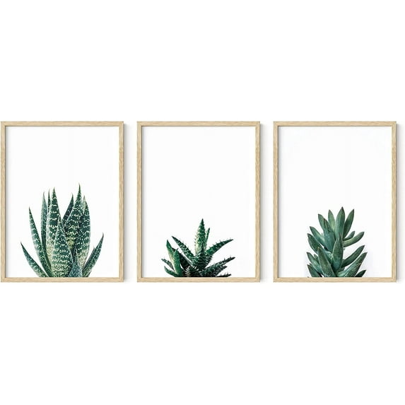 HAUS AND HUES Cactus Wall Art Succulent Framed Set of 3 - Plant Art Framed, Succulent Pictures Wall Decor, Botanical Artwork for Bedroom, Succulent Couch Set of 3 (12"x16" - Framed Beige)