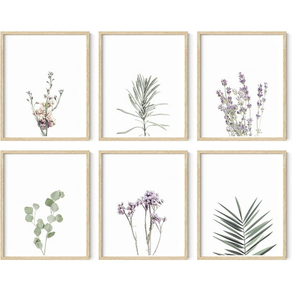 HAUS AND HUES Floral Prints and Plant Posters Set of 6 Botanical Prints and Floral Wall Art | Plant Prints | Plant Wall Art | Flower Wall Art | Plant Botanical Prints Set, UNFRAMED (8x10)