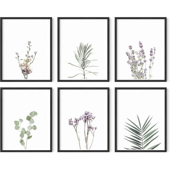 HAUS AND HUES Floral Prints and Plant Posters Set of 6 Botanical Prints Set and Floral Wall Art | Wildflower Wall Art Plant Wall Art Floral Poster Flower Wall Art Set (11x14, Black Framed)