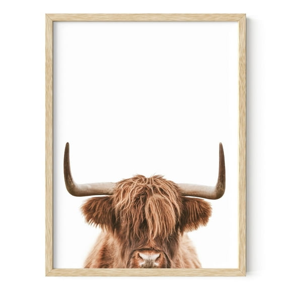 HAUS AND HUES Highland Cow Wall Art - Highland Cow Print and Bull Wall Art Cow Wall Decor Cow Pictures Wall Decor | Farmhouse Pictures Cow Print Black Animal Bull Pictures (Unframed, 12x16)
