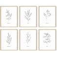 thumbnail image 1 of HAUS AND HUES Kitchen Herbs Wall Art Decor for Kitchen Herb Art Prints and Kitchen Signs Wall Decor, Herb Prints Kitchen Wall Art Kitchen Print for Wall Minimalist Drawings (8x10, Beige Framed), 1 of 6