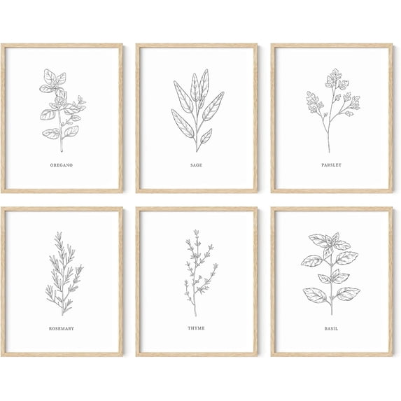 HAUS AND HUES Kitchen Herbs Wall Art Decor for Kitchen Herb Art Prints and Kitchen Signs Wall Decor, Herb Prints Kitchen Wall Art Kitchen Print for Wall Minimalist Drawings (8x10, Beige Framed)