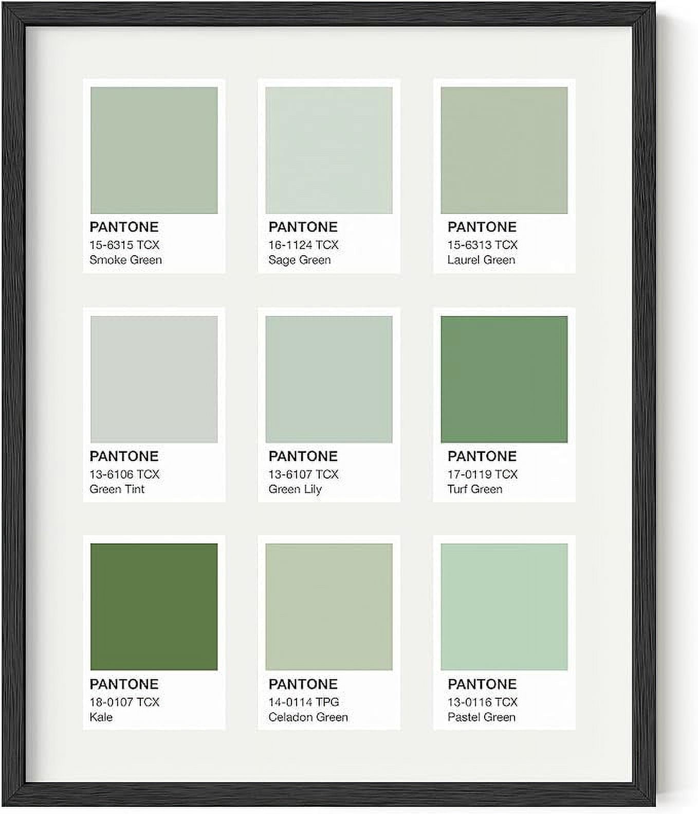 HAUS AND HUES Sage Green Room Decor Aesthetic Green Wall Decor Dorm