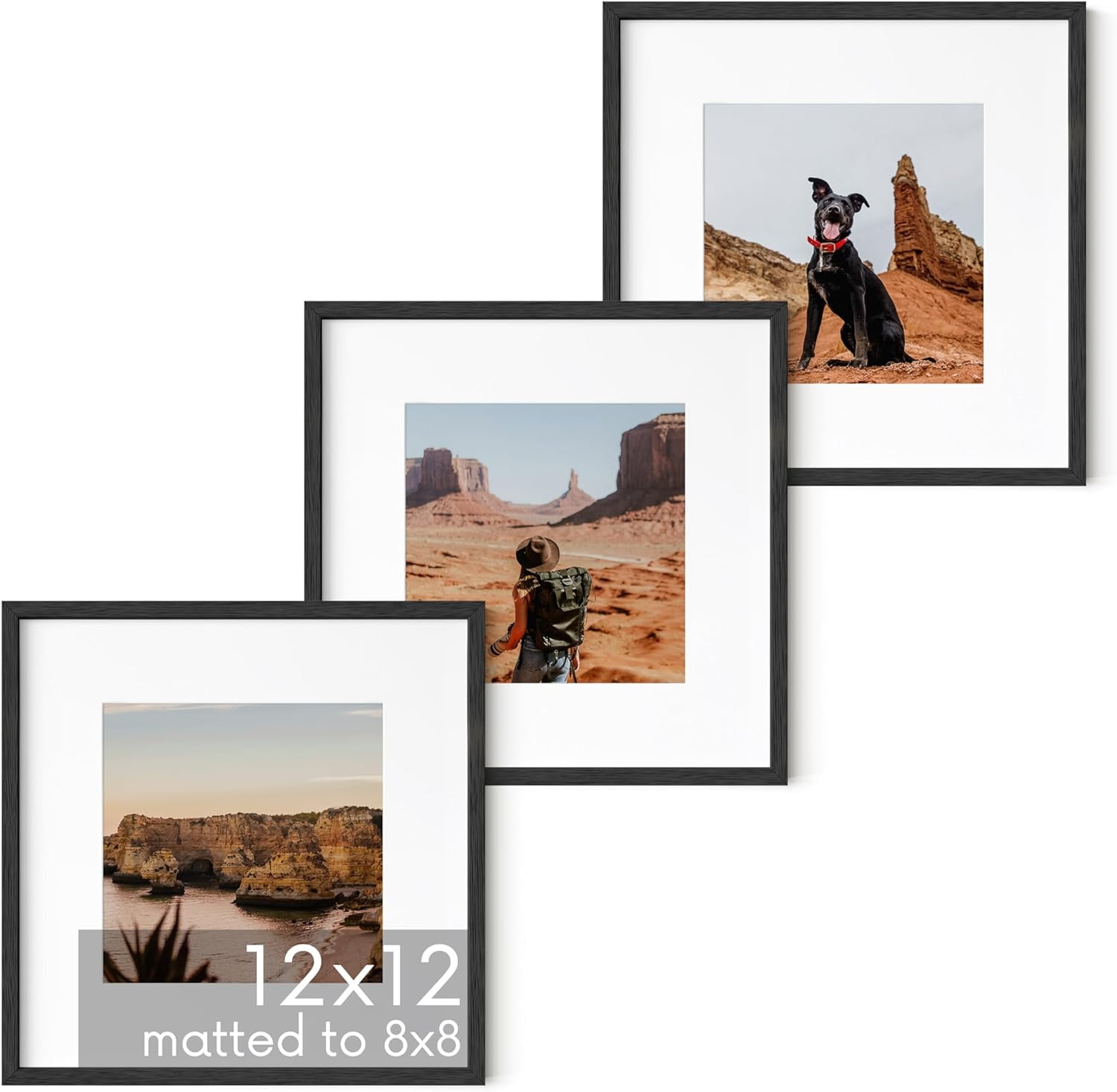 Black Oak Wood 12x12 Picture Frames Set of 3