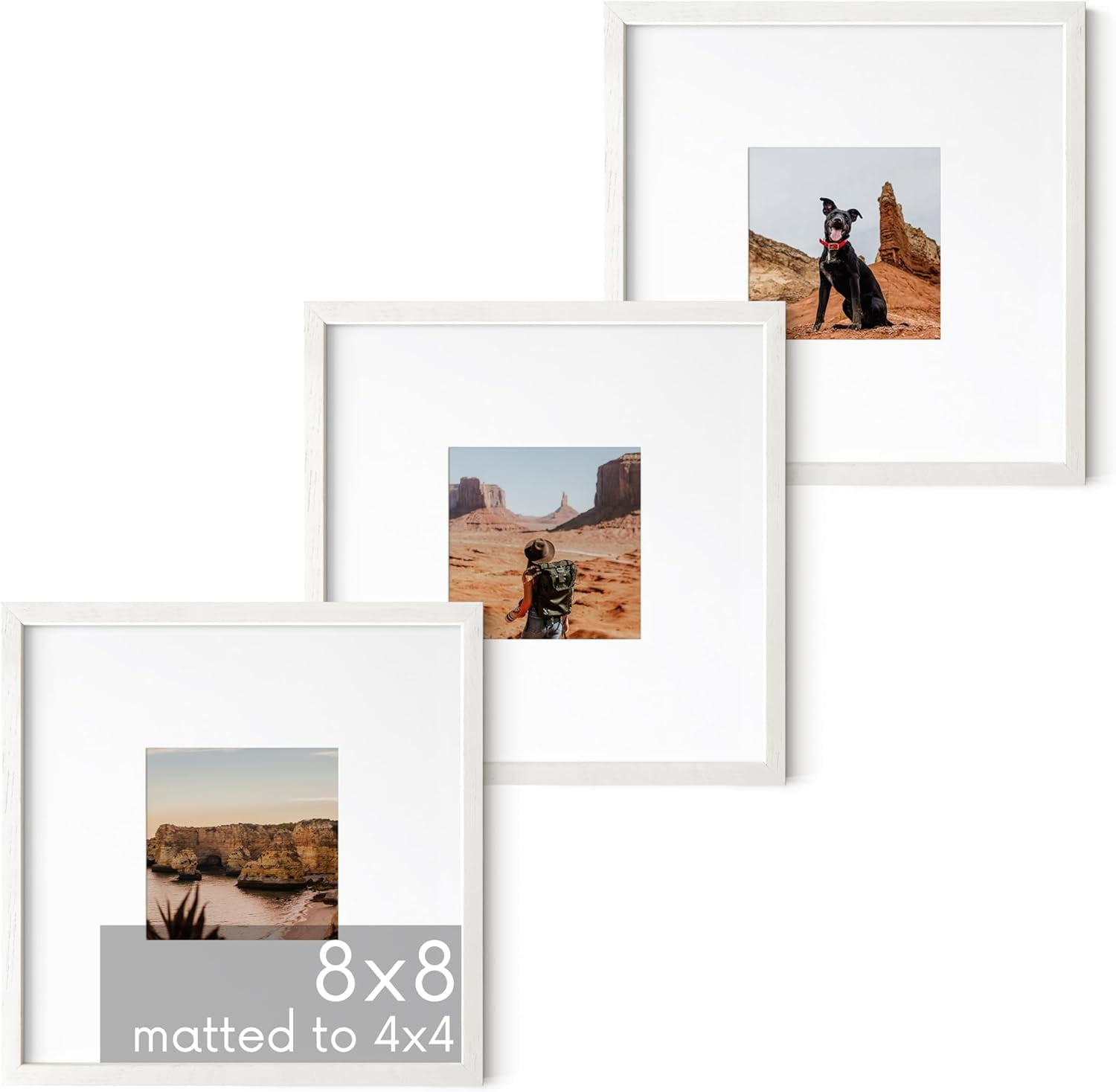 White Oak Wood 8x8 Picture Frames Set of 3