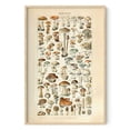 thumbnail image 1 of HAUS AND HUES Vintage Adolphe Poster & Chart - Adolphe Millot Poster Cottagecore Wall Decor | Adolphe Millot Print & Plant Poster Vintage Botanical Prints & Botanical Poster (24x36, Beige Framed), 1 of 6
