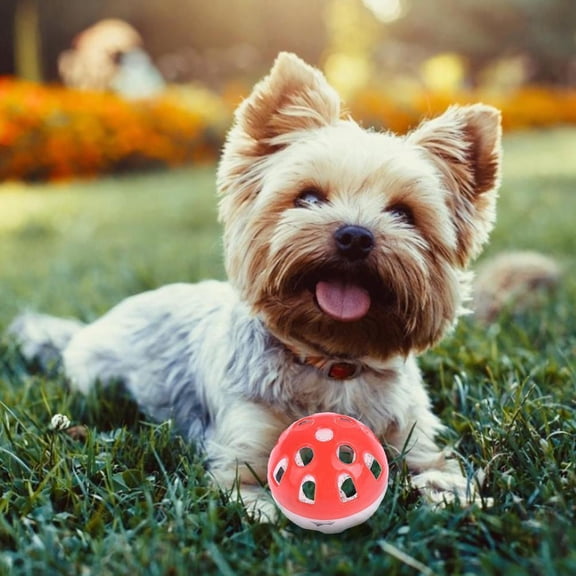 HAVELOR Cat Ball Toy with Jingle Bell, 1.6 inch Diameter Colorful Balls, Interactive Play for Kittens and Adult Cats(multicolor,one-size)