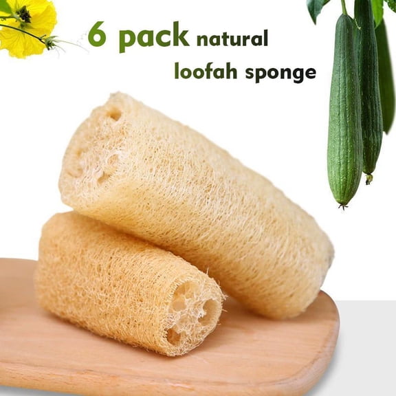 HAVELOR Natural Loofah Sponges, 6-Pack, Exfoliates Skin & Improves Circulation, Perfect for Daily Shower or Bath(White,6pcs)