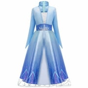 HAWEE Princess Dress Elsa Costume for Girls Blue Sequined Ball Gown Snow Queen Cosplay Dress