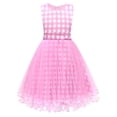 thumbnail image 1 of HAWEE Princess Pink Dress for Girls Pink Costume Plaid Sleeveless Sundress With Accessories Halloween Birthday Party, 1 of 6