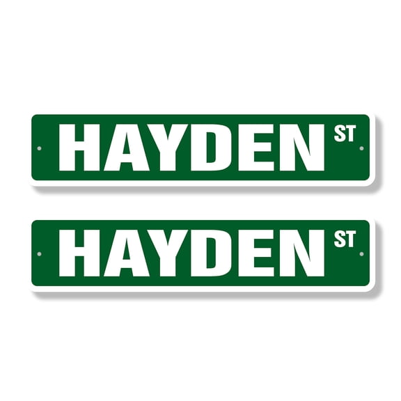 HAYDEN Classic Street Sign (2 Pack) Childrens Name Room Sign Road Sign | 4" X 18" Aluminum Metal Address Sign