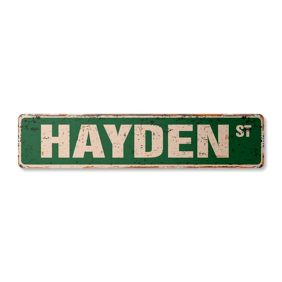 HAYDEN Vintage Aluminum Street Sign Childrens Name Room Metal Sign rustic metal tin | Indoor/Outdoor |  24" Wide