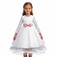 thumbnail image 1 of HAYIMI Child Elegant Lace Girls Party Dress Long Sleeve Satin Bodice Overlay Bow Evening Gown O-Neck Vacation Dresses, 1 of 8