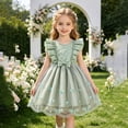 thumbnail image 1 of HAYIMI Child Summer Girls Dress With Mesh Floral Lace Trim Sleeveless Party Style For Warm Weather O-Neck Holiday Dresses, 1 of 8