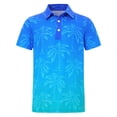 thumbnail image 1 of HAYIMI Kids Shirts Cool Graphic Print Short Sleeve T Shirts For Boys Casual Polo Shirts Lapel Soft Tees Youth Comfortable Daily Wear Comfort Tops, 1 of 3