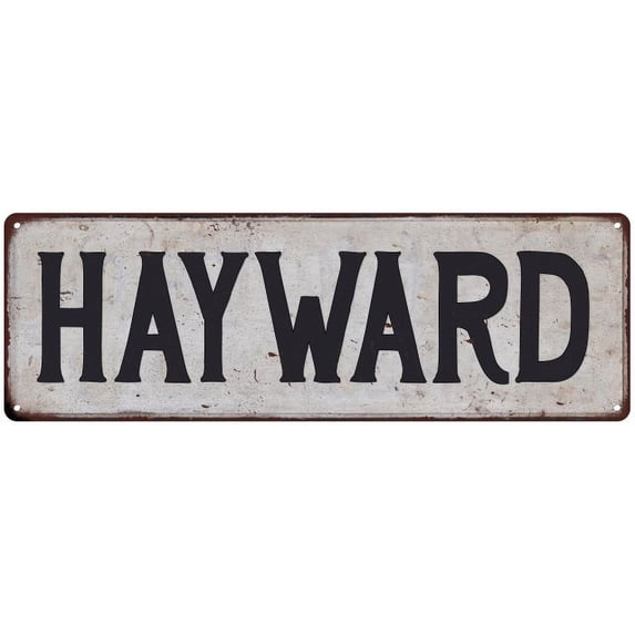 HAYWARD Vintage Look Rustic Metal 8x24 Sign City State 108240041117