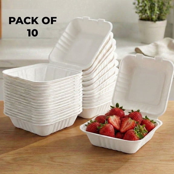 HAZEL Bento Cake Box | 100% Biodegradable Box for Mini Cakes, Lunch Cakes & Home Bakers | Pack of 10