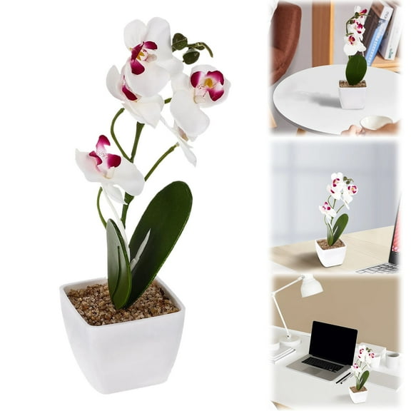 HAZIUA Realistic Artificial Phalaenopsis Faux Flower Orchid In Pot Flowers for Table 9.8*6.3 in White