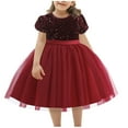 thumbnail image 1 of HAiming Children's Sequin Dress Flower Girl Short Sleeve Round Neck Pleated A-Lined Princess Dress Wedding Gown, 1 of 4