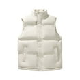 thumbnail image 1 of HAiming Mens Puffer Vest Winter Warm Stand Collar Sleeveless Zipper Casual Outdoor Plus Size Quilted Jacket with Pocket, 1 of 7
