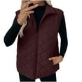 thumbnail image 1 of HAiming Womens Padded Vest with Pockets Zip up Stand Collar Solid Color Quilted Jacket Winter Warm Outerwear, 1 of 9