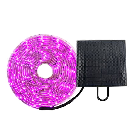 HBASD 5M Flower Plant Phyto Growth Lamp 2835 Smd For Plants Hydroponics Growing System Daily Lighting Supplies