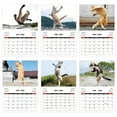 thumbnail image 1 of HBBKVI 2026 Wall Calendar 12 Months with Large Grids, Corporate Cats Theme for Office Home, 1 of 8