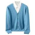 thumbnail image 1 of HBFAGFB Sweaters for Men V Neck Button Down Cardigan Lightweight Jacket Versatile Daily Wear Blue Size M, 1 of 4