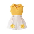 thumbnail image 1 of HBGVBA Children Girls Summer 2 Piece Outfit,Sleeveless Top and Shorts Set,Solid Short Sleeve V-Neck Knit Top Applique Button Shorts Outfit, 1 of 5