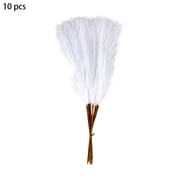 HBYJLZYG Faux Pampas Grass, Artificial Reed Plumes, 21.6 White Fluffy Decorative Stems for Gothic Boho Style, 10pcs No-Shed Floral Picks for Wedding Party Home Vase Arrangement