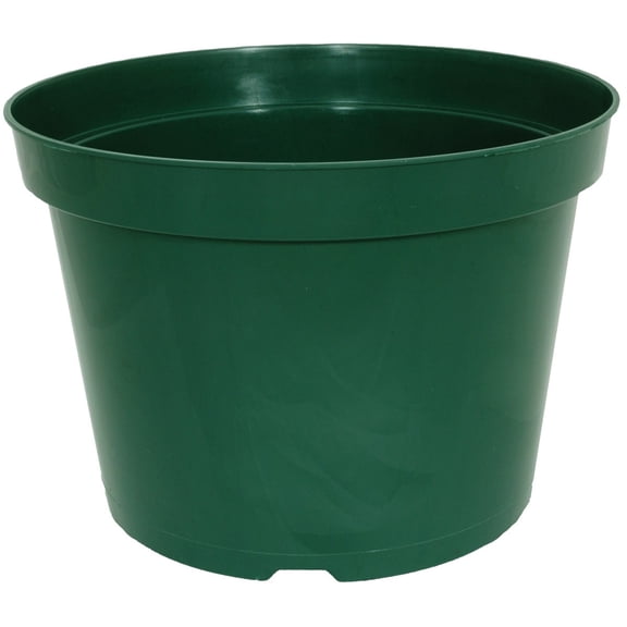 HC Companies 4 in. D Plastic Grower Pot Evergreen
