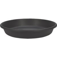 HC Companies HC Companies Classic Saucer