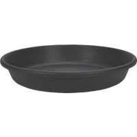 HC Companies Classic Saucer - Pack of 5 Bulk Trade Pack
