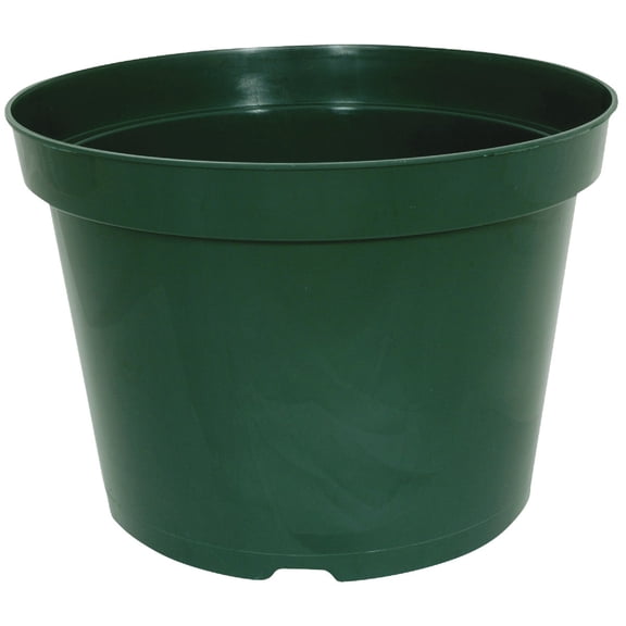 HC Companies Myers Green Planter - Pack of 6