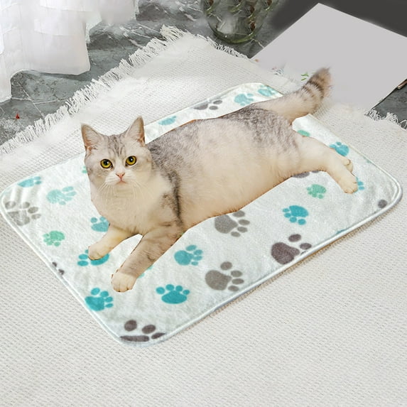 HCBY Flannel Pet Blanket for Small Medium Dogs Cats, Machine Washable & Portable Travel Cushion Mat, All Season Soft Bed Mat for Carriers (Beige,15.75"x23.62")